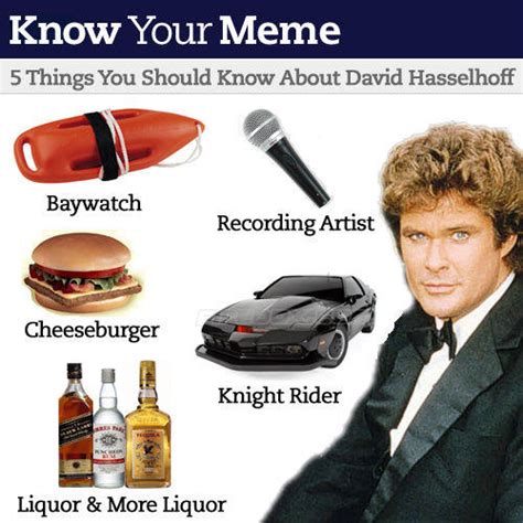 David Hasselhoff Drunk Know Your Meme