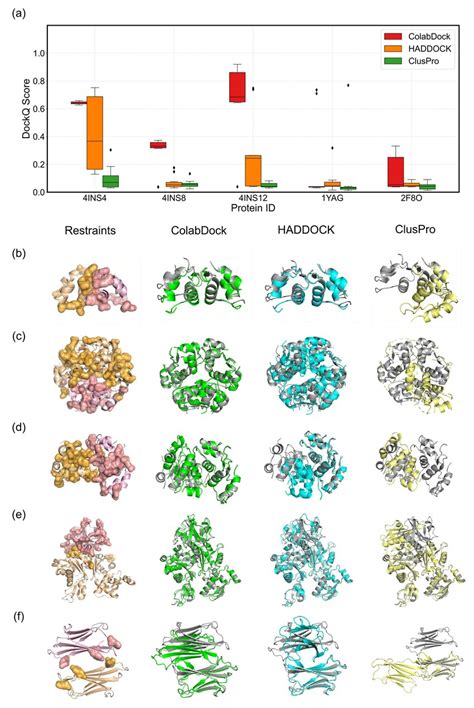 Colabdock Performance And Restraints Analysis On Covalent Labeling Download Scientific Diagram