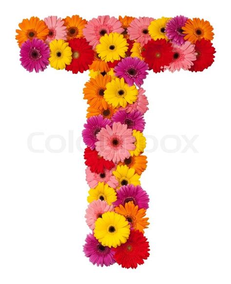 Letter T Flower Alphabet Isolated On White Background Stock Photo