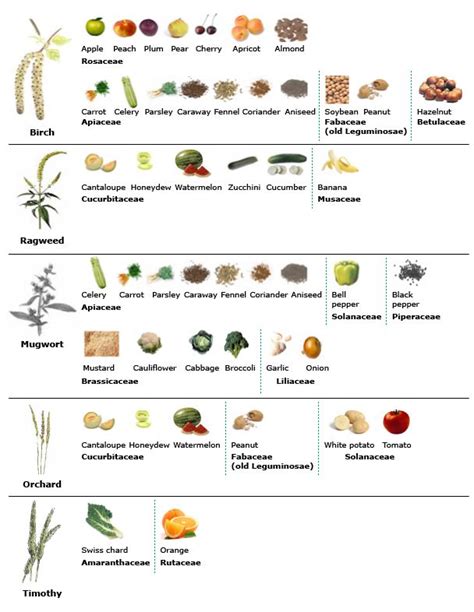 Pollen Food Allergy Chart