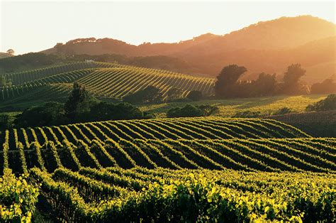 Wine Country Wallpapers Top Free Wine Country Backgrounds