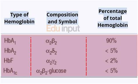 Types Of Hemoglobin With Structure And Functions