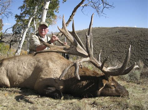 Deer Hunting Tag On Antelope Island Auctioned For 305000