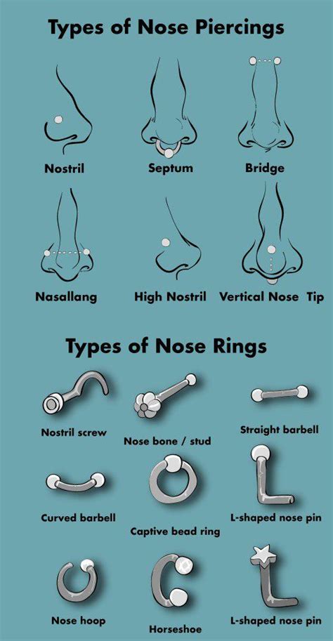 Types Of Nose Rings And Nose Piercings Cute Nose Piercings Nose Piercing Face Piercings