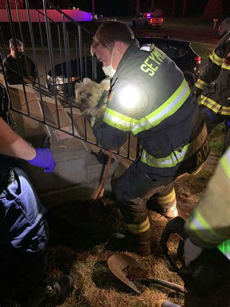 Seymour Firefighters Rescue Dog Stuck Under Porch