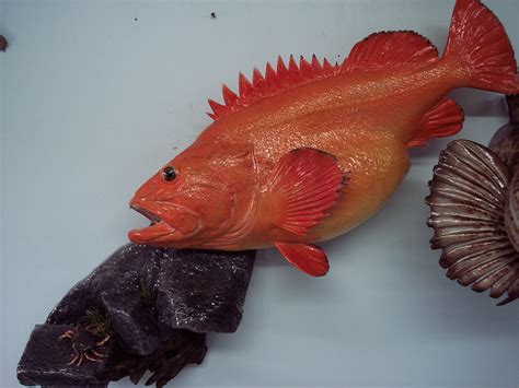 Yelloweye Rockfish Big River Reproductions