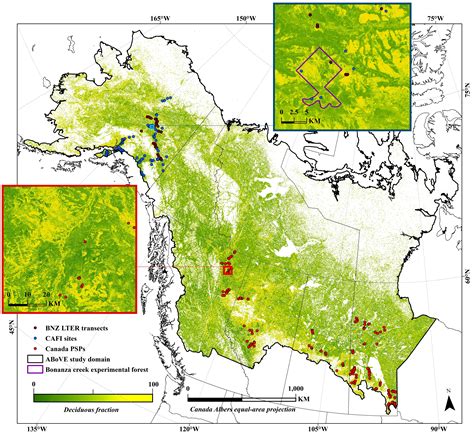 Boreal Vegetation Dynamics Global Earth Observation And Dynamics Of