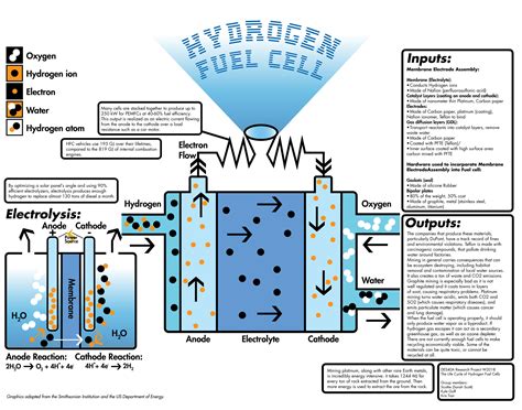 How Hydrogen Fuel Cells Work