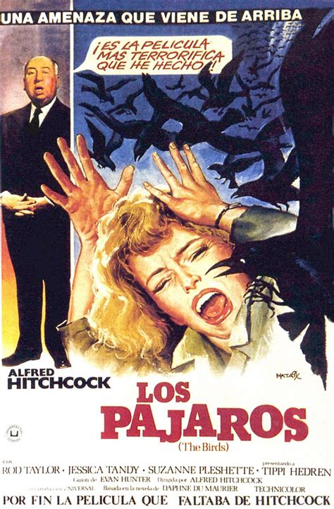 Todo El Terror Del Mundo: Los Pajaros (The Birds) (Alfred Hitchcock ...