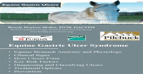 Equine Gastric Ulcers A Presentation By Wendy Harless Mollat Dvm