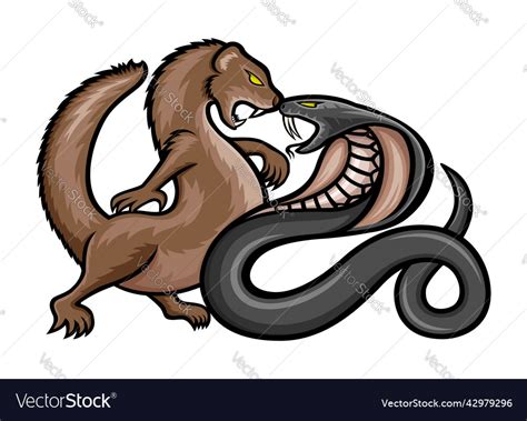 Angry Mongoose And Cobra Royalty Free Vector Image