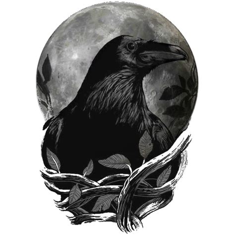 Crow And Moon Png Raven Art Crows Drawing Raven Tattoo