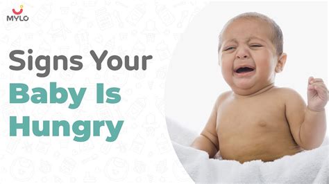 4 Signs That Babies Show When They Are Hungry Baby Hunger Cues Youtube