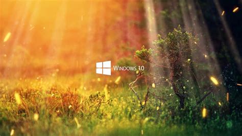 Windows are both a practical item and a beautiful addition to any home. Windows 10 - живые обои компьютер СКАЧАТЬ БЕСПЛАТНО