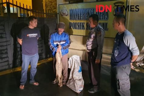 Diciduk Polisi Pembuang Bangkai Babi Mengaku Diupah Rp500 Ribu