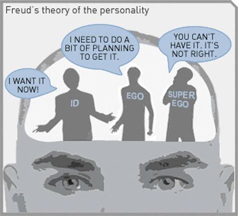 3 Psychodynamic Theory Examples Studiousguy