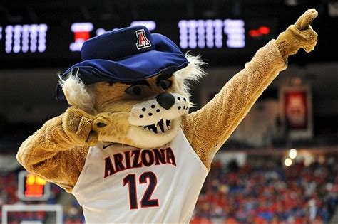 33 Signs You Eat Sleep And Breathe Arizona Wildcats Basketball