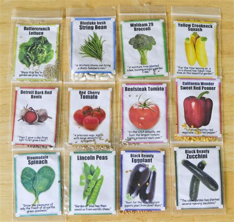 Functional Toolbox Garden Seed Packets Speech Therapy