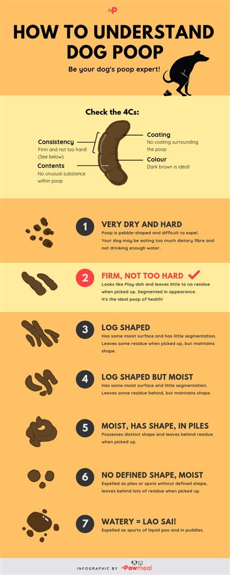 How To Understand Dog Poop With Stool Chart Infographic