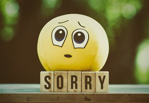 95 I M Sorry Quotes To Apologize To Someone
