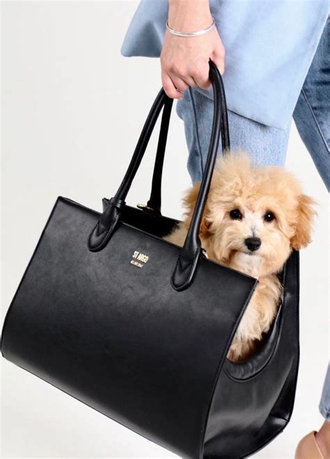Luxury Leather Backpack Small Dog