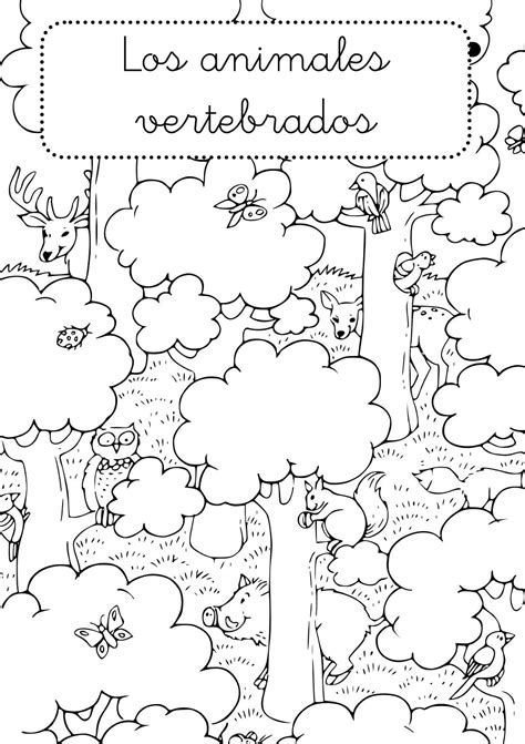 Dibujos De Animales Invertebrados Y Vertebrados Para Colorear