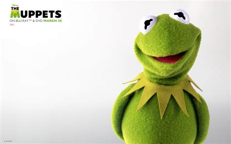 What you must know bef. Kermit the Frog Wallpaper (53+ images)