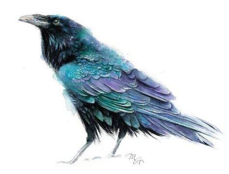 Raven Watercolor Blue Purple Black Teal Bird Archival Print Raven