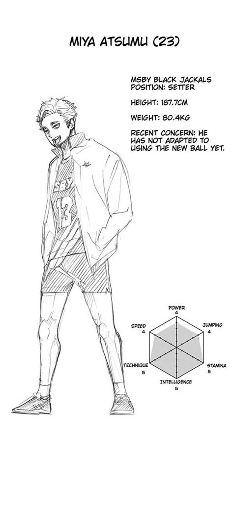 The Best 18 Haikyuu Character Sheets Manga