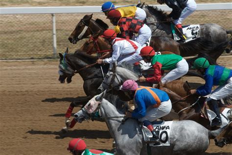 Beauty Speed Endurance Heart Americans Meet The Arabian Horse