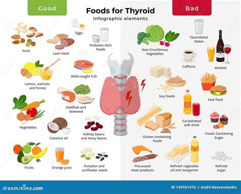 Elementos Infographic De La Nutrición De La Tiroides Comidas Para El