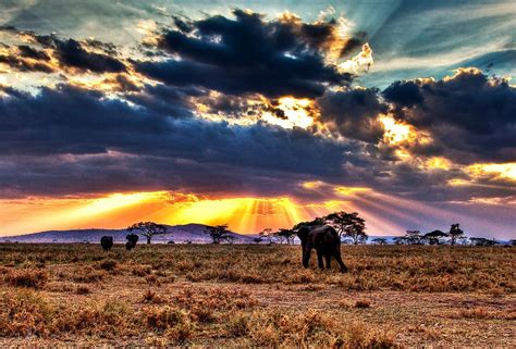 Serengeti National Park Series Largest Nature Reserves On Earth