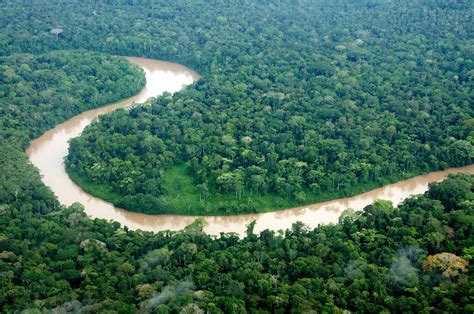 The Amazon River Ecuador Amazon River See It Ecuador Rainforest