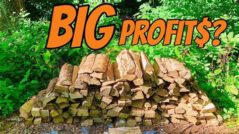 Check spelling or type a new query. FIREWOOD BUNDLES | How profitable are they? - YouTube