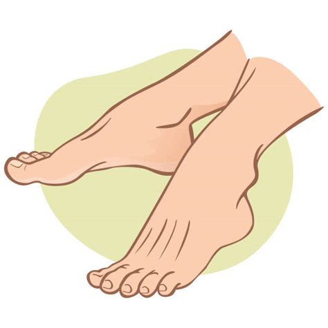 Top Podiatry Clip Art Vector Graphics And Illustrations Istock
