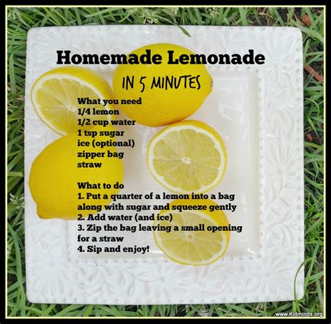 Homemade Lemonade In 5 Minutes Kidminds