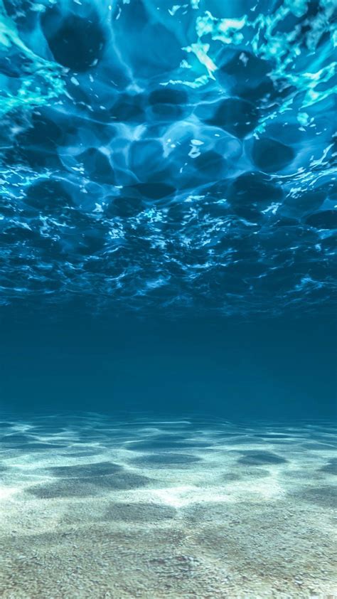 Underwater Phone Wallpapers Top Free Underwater Phone Backgrounds