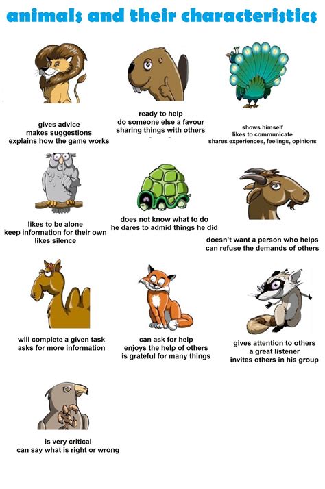 Top 172 Main Characteristics Of Animals