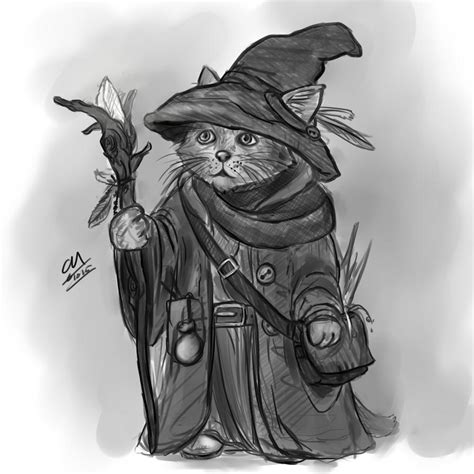 Wizard Cat By Catmushrooms On Deviantart