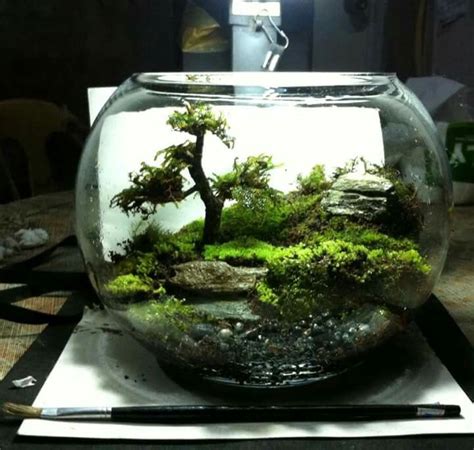 565 Best Images About Terrariums And Miniature Gardening