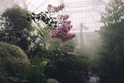 100 Greenhouse Pictures Download Free Images On Unsplash