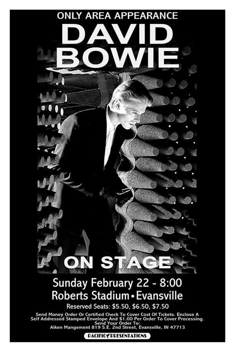David Bowie 1976 Evansville Concert Poster Raw Sugar Art Studio