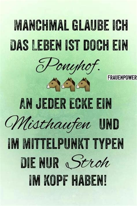 Dieter und jürgen ich bin über dich im bilde / ich such. Ponyhof … | Lustige sprüche, Witzige sprüche, Sprüche zitate