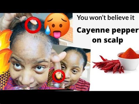 Shake it up to mix up the ingredients and then apply it to your hair and scalp on one day and then the next day you should shampoo out the cayenne mixture. Cayenne pepper oil for hair growth + how to make cayenne ...