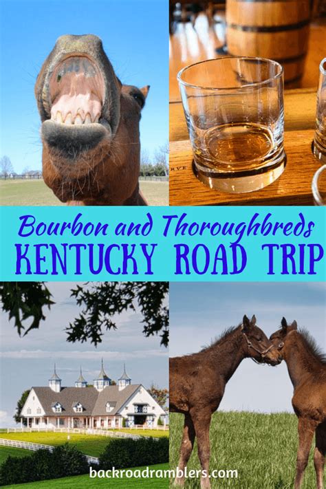 For A Unique Road Trip Destination Head To Kentucky Derby Country
