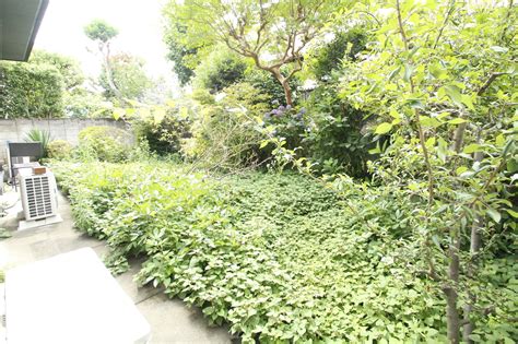 石組・石張り - 杉並区・武蔵野市で造園・庭づくり・植栽はナカハラガーデニング