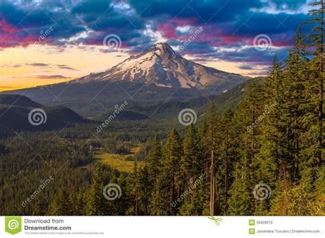 Beautiful Vista Of Mount Hood In Oregon Usa Stock Image
