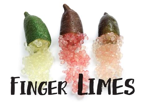 Finger Limes