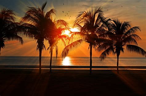 Tropical Sunset Free Stock Photo Public Domain Pictures