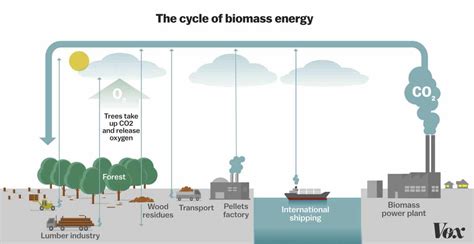 Read About Biomass Energy And Its Types With Pritish Halder